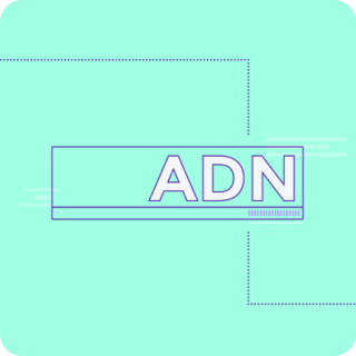API Delivery Network